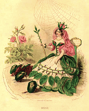 Rose by J. J. Grandville