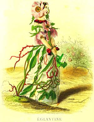 Eglantine by J. J. Grandville